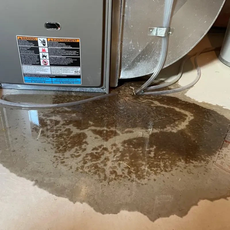 Appliance Leak Cleanup in Arroyo Seco, NM